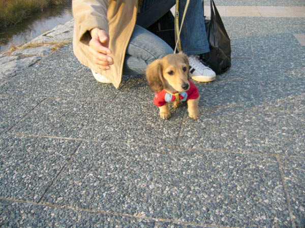 image0003