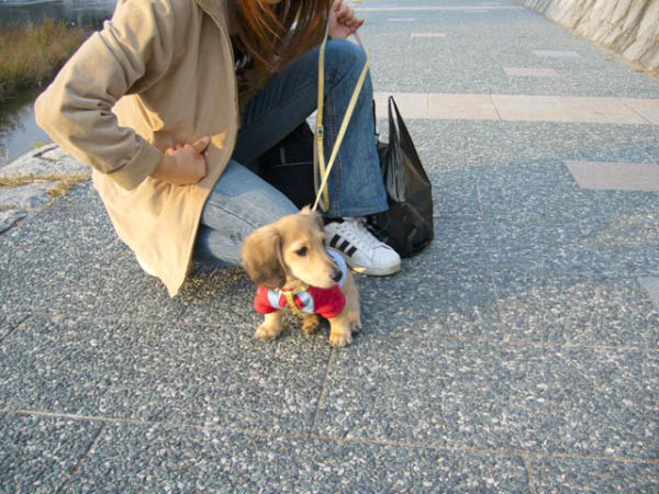 image0004