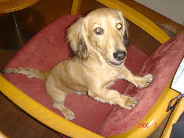 image0001