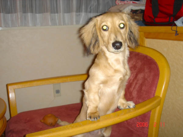 image0002