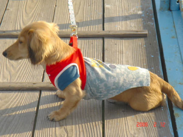 image0005