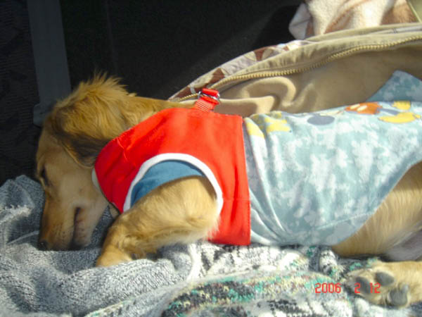 image0007