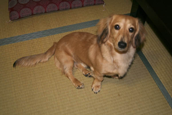 image0001