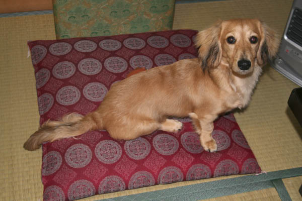 image0002
